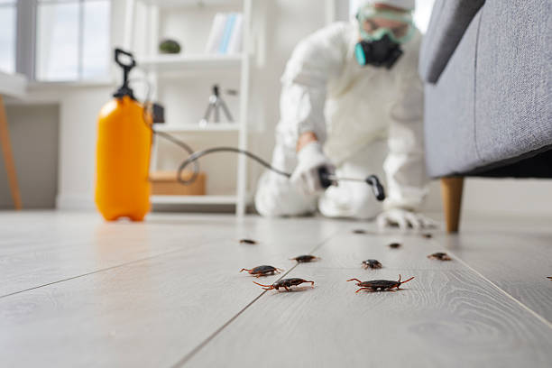 Commercial Kitchen Cockroach Control in Spokane